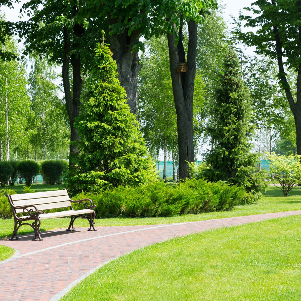 Grøn pleje med geonote