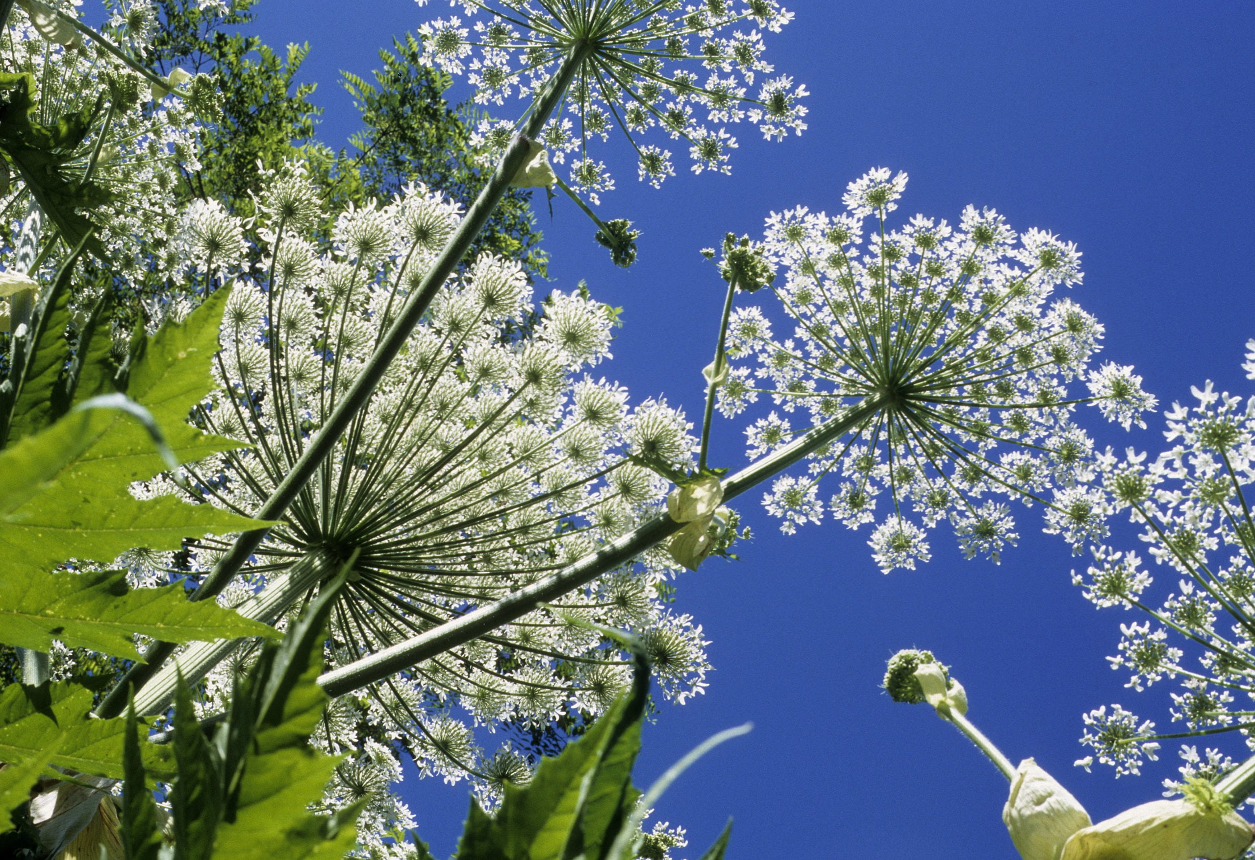 Brøndtømning en GeoNote<span class='r-sign'>®</span> løsning | IT34